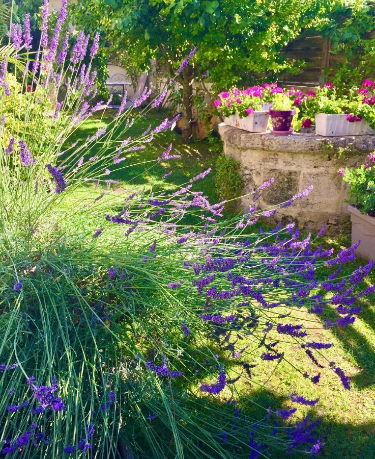 Puisseguin La Maison Du Bourg B&B מראה חיצוני תמונה